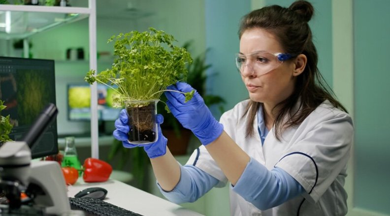 A diverse team collaborating in a modern office, symbolizing a positive food safety culture.